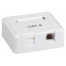 ITK Настенная инф.розетка RJ-45, кат.6, 2-порта